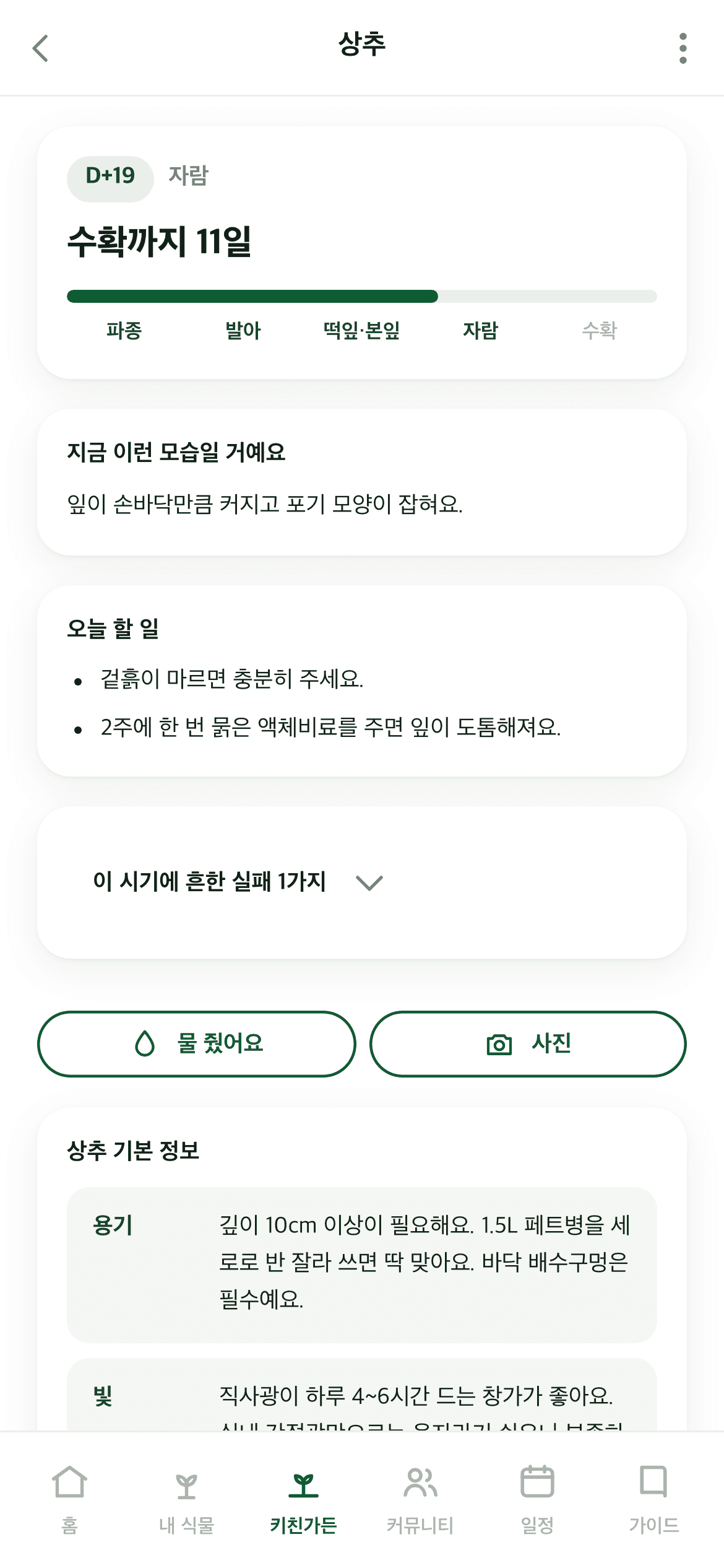 GreenDex 키친가든 상세 화면: 상추 D+19 자람 단계, 수확까지 남은 날과 오늘 할 일
